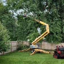 Best Tree Health Inspection  in North Bonneville, WA