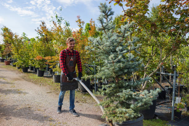 Best Commercial Tree Services  in North Bonneville, WA